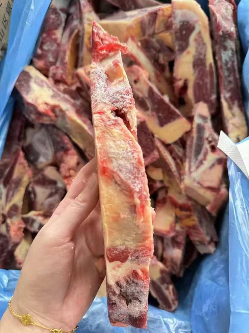 黄膘牛胸骨