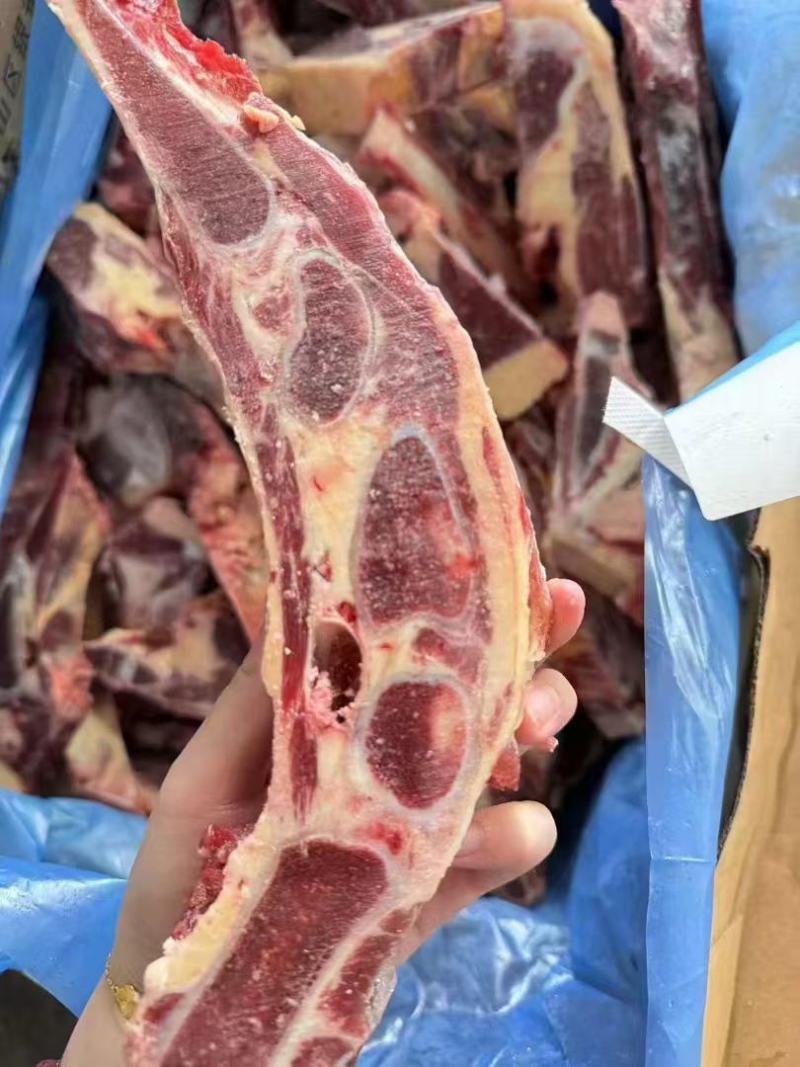 黄膘牛胸骨