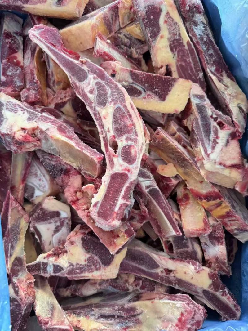 黄膘牛胸骨