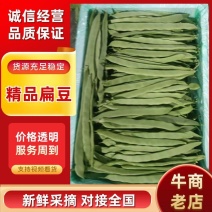 【无筋豆】精品扁豆，油豆大青豆大量供应市场，市场，电商