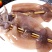 大鱿鱼板150G*10串鱿鱼串海鲜烧烤食材铁板烧生鲜摆摊