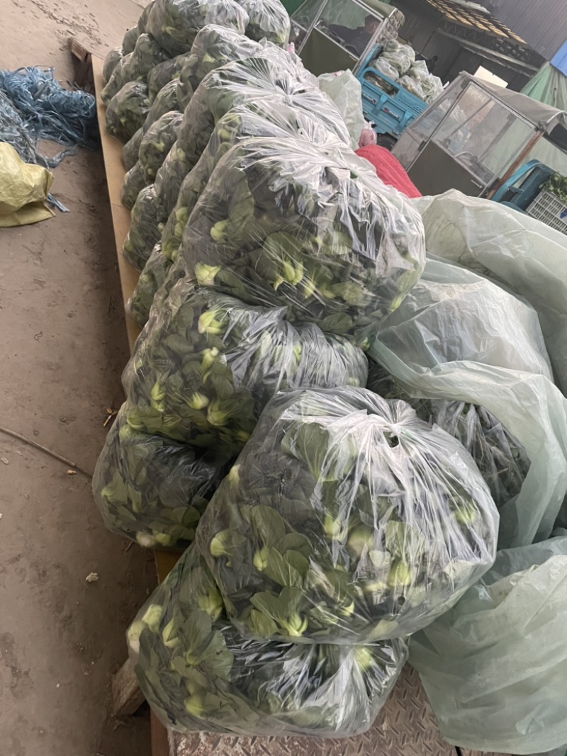 需要的朋友可以联系我
