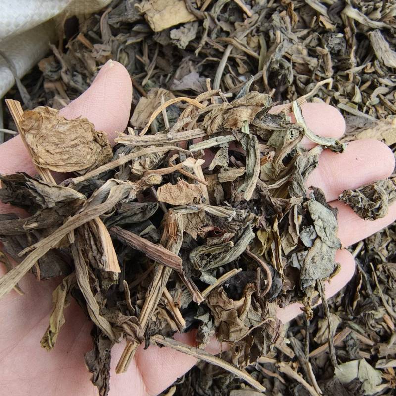 大青叶祥泰药材栈中药材批发零售实物拍摄量多从优欢迎咨询