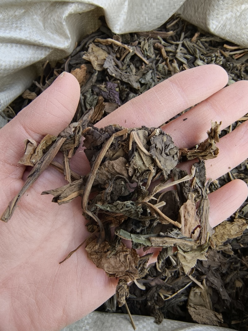 大青叶祥泰药材栈中药材批发零售实物拍摄量多从优欢迎咨询