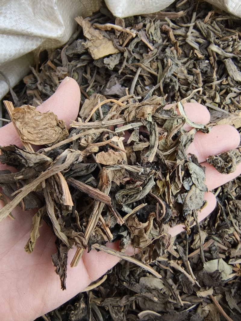 大青叶祥泰药材栈中药材批发零售实物拍摄量多从优欢迎咨询