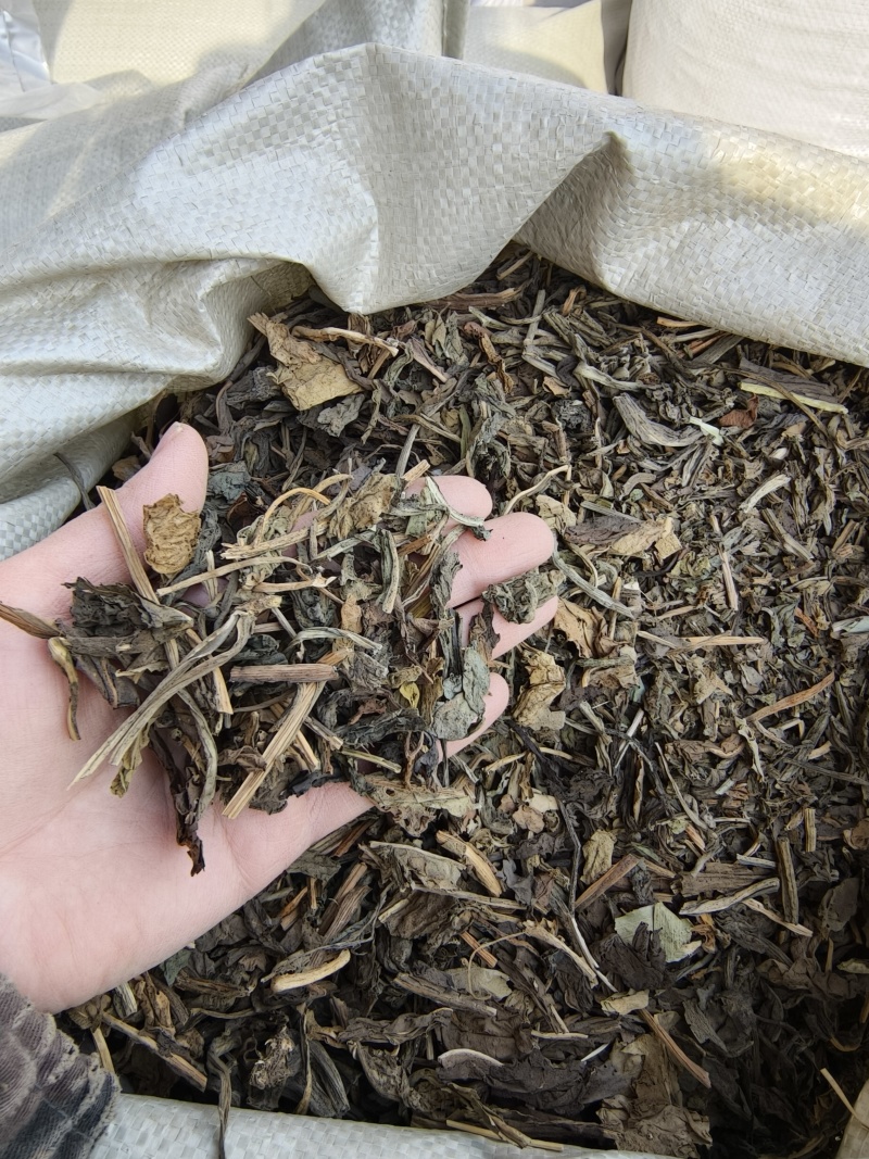 大青叶祥泰药材栈中药材批发零售实物拍摄量多从优欢迎咨询