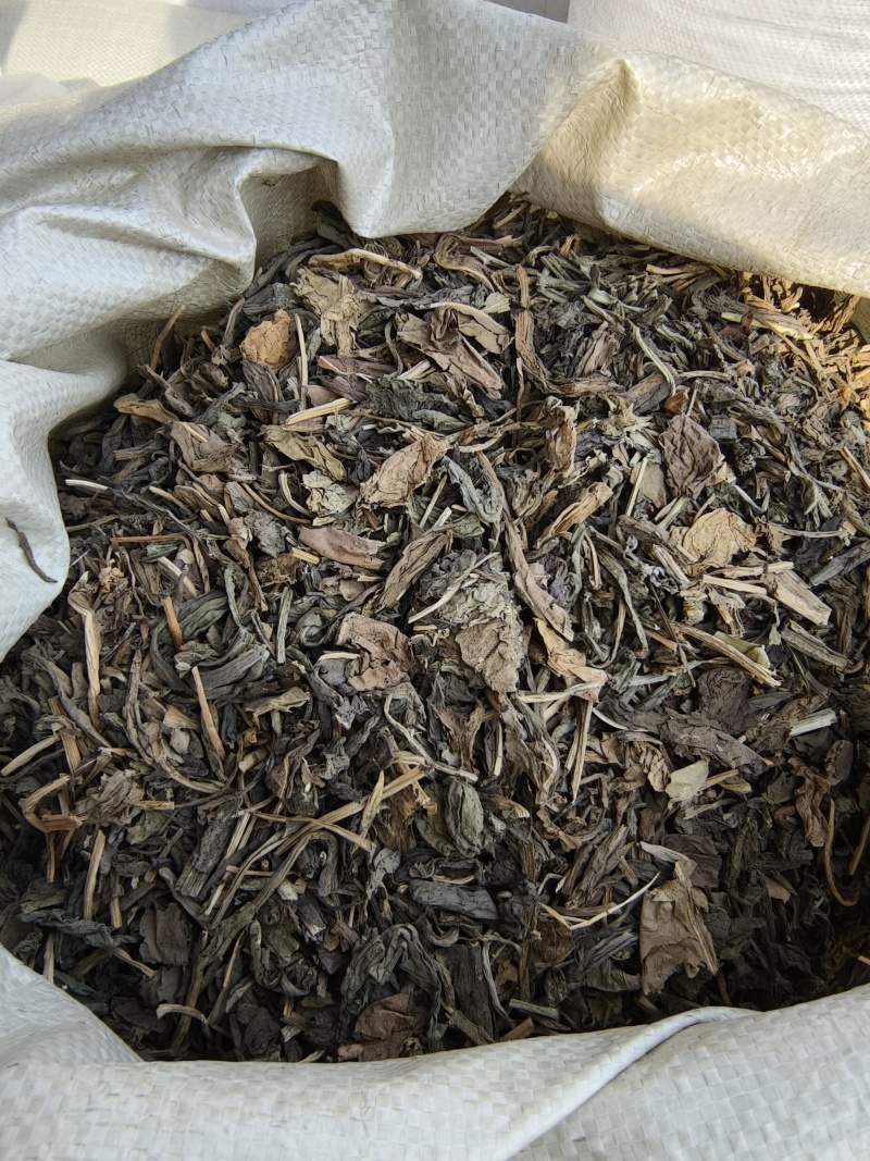大青叶祥泰药材栈中药材批发零售实物拍摄量多从优欢迎咨询