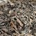 大青叶祥泰药材栈中药材批发零售实物拍摄量多从优欢迎咨询