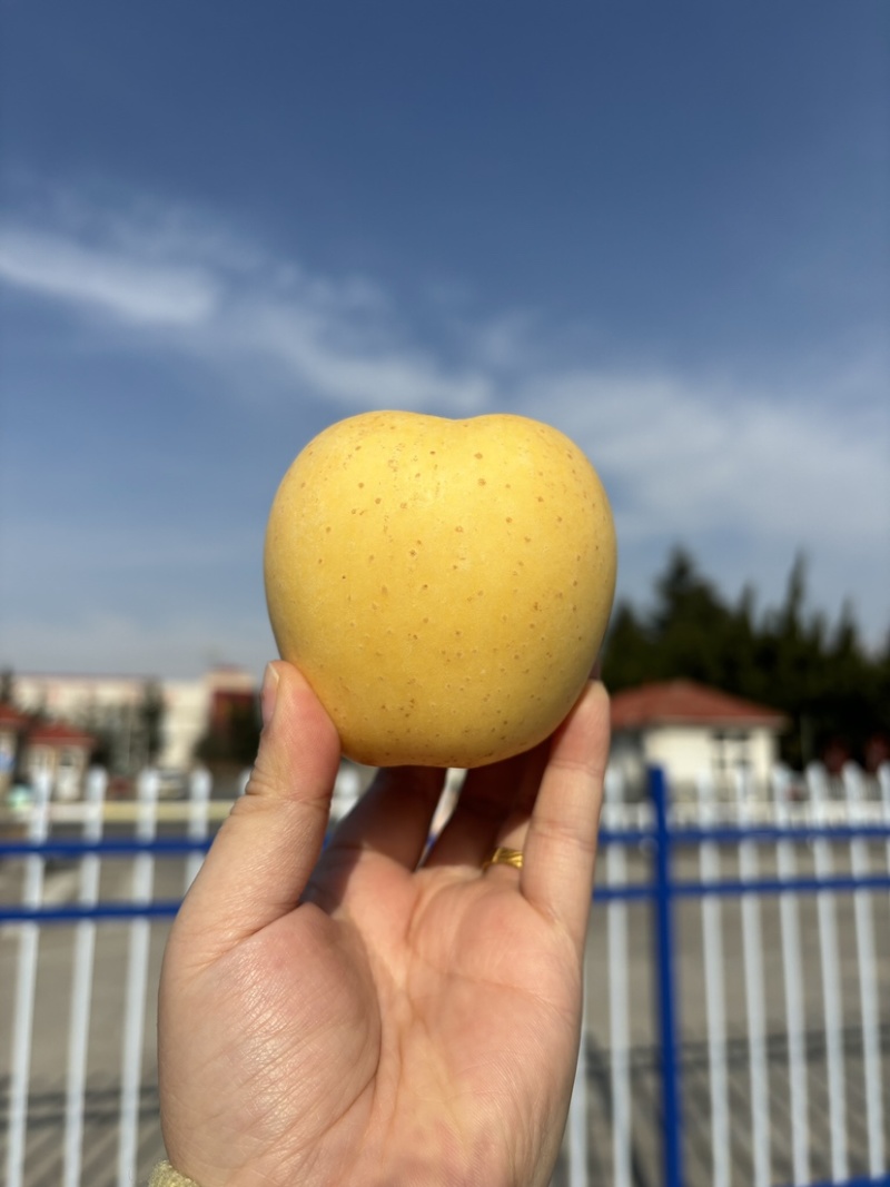 维纳斯礼盒天地盖支持一件代发自家果园有需要可以随时联系
