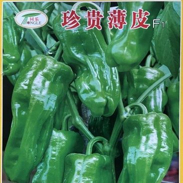 珍贵薄皮芜湖椒泡椒薄皮椒辣椒种子200克试用装
