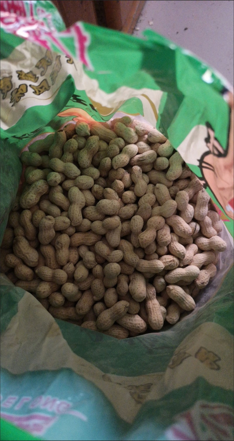 24新货特价珍珠花生五香多味奶香卤味核桃原味零食坚果带壳