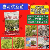 长江上中下游国审稻种再生稻,高产杂交稻谷种子,早中晚稻谷