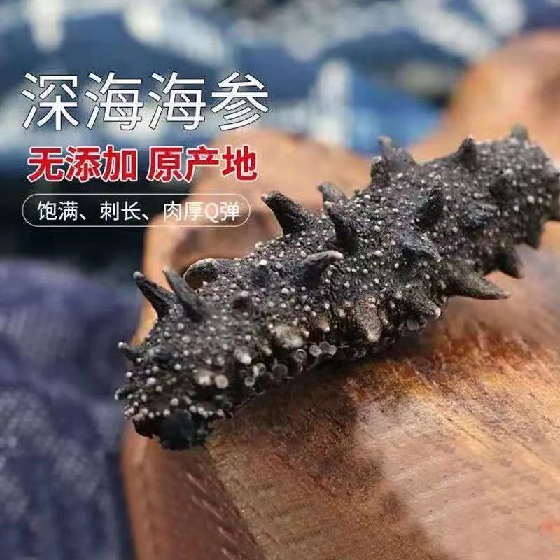 精品辽参冻干海参非淡干盐干料干礼盒支持一件代发