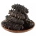 精品辽参料干海参非淡干盐干冻干即食海参支持一件代发