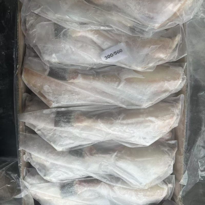三去马面鱼300/500500/700