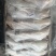 三去马面鱼300/500500/700