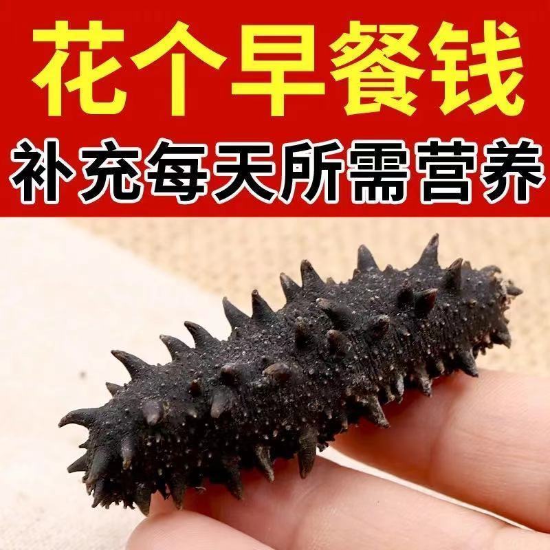 精品辽参料干海参非淡干盐干冻干即食海参支持一件代发