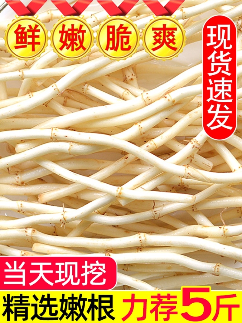 鱼腥草根折耳根野菜特菜货源充足，欢迎订购。