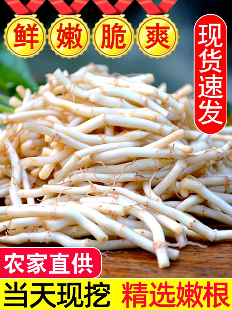 鱼腥草根折耳根野菜特菜货源充足，欢迎订购。