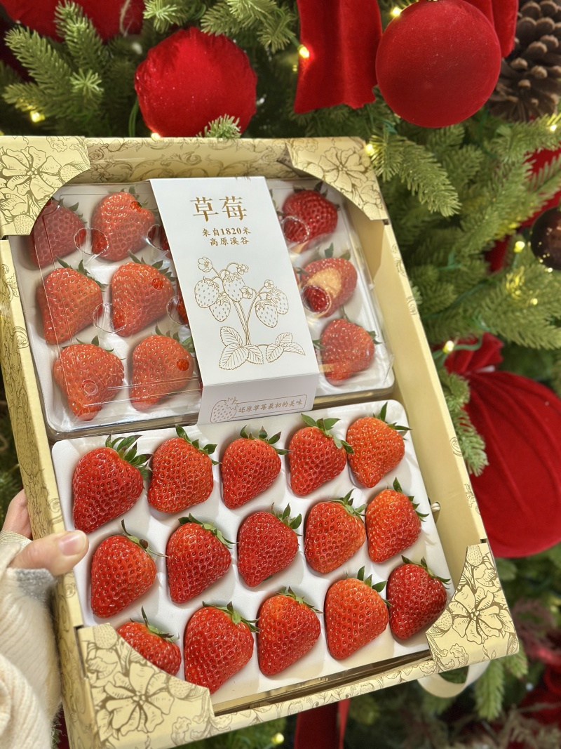 红颜草莓礼盒装