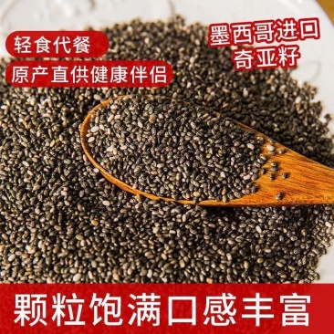 墨西哥奇亚籽批发大货