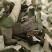 荷叶微山湖荷叶丝野生天然干荷叶块正品无硫无添青荷叶