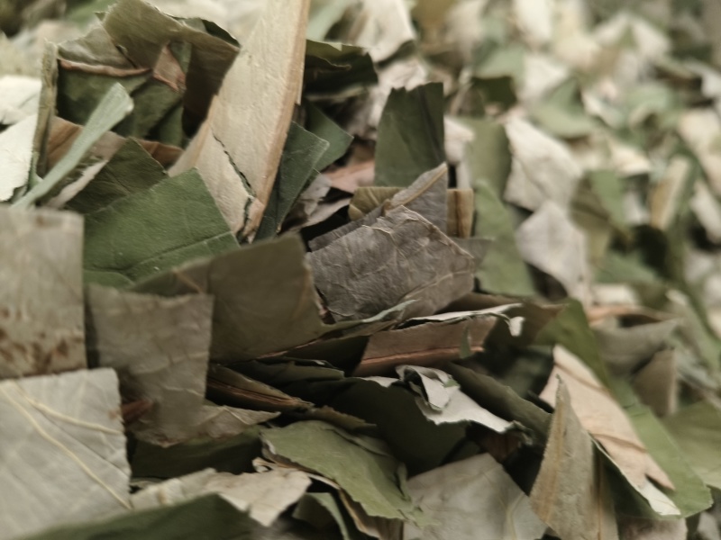 荷叶微山湖荷叶丝野生天然干荷叶块正品无硫无添青荷叶