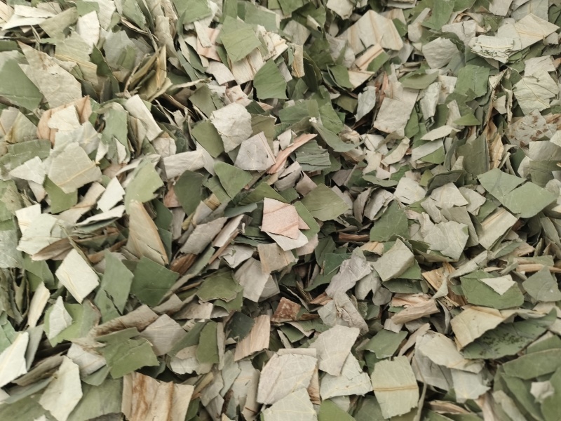 荷叶微山湖荷叶丝野生天然干荷叶块正品无硫无添青荷叶