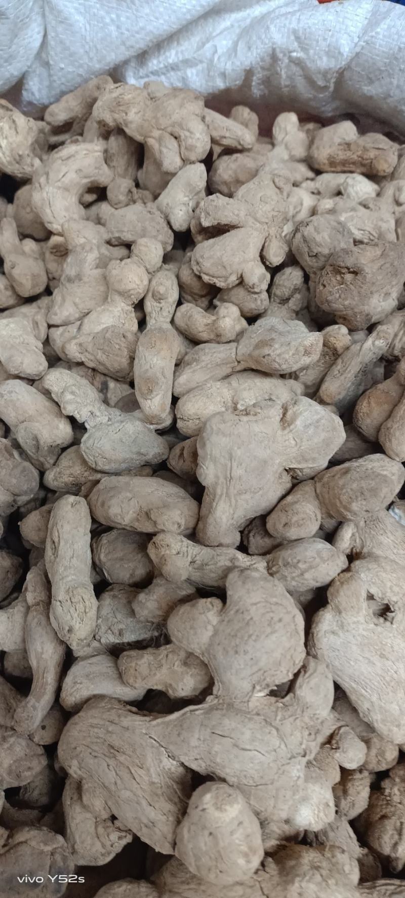 干姜干姜个干姜片各种规格炮姜代加工打粉压片制丸配方