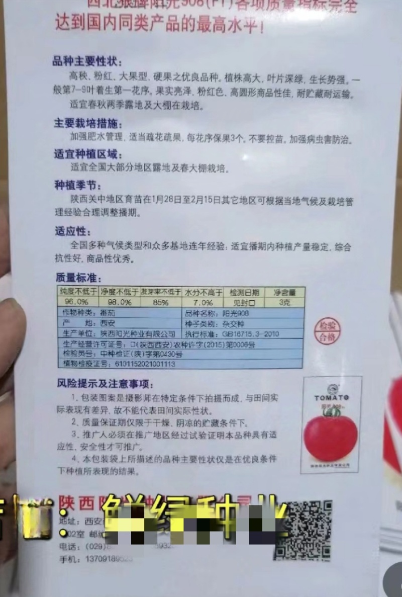 阳光906早熟西红柿种子有限型番茄种籽杂交高产抗病4克原