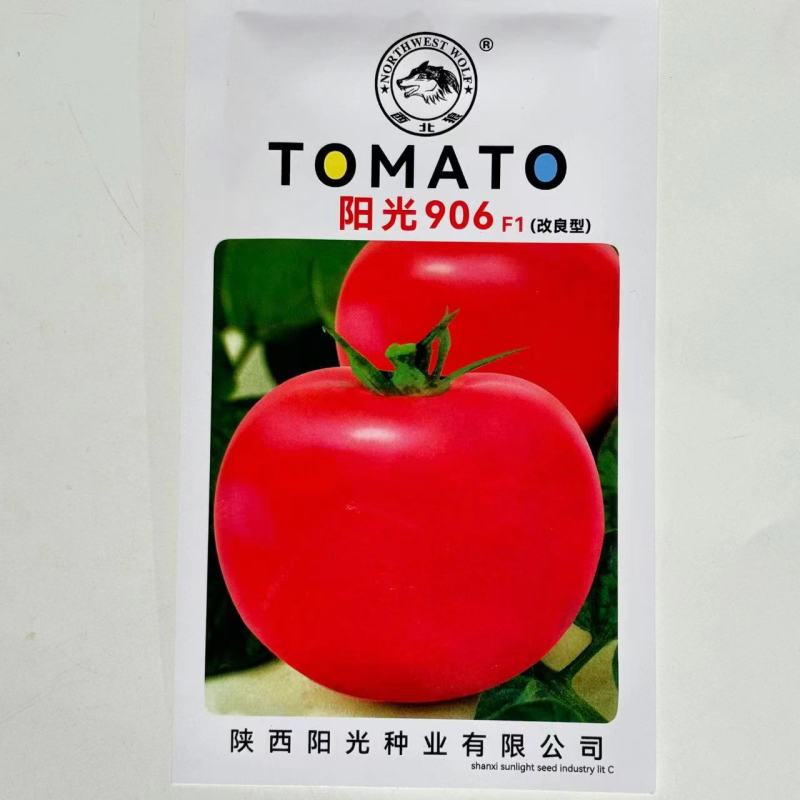 阳光906早熟西红柿种子有限型番茄种籽杂交高产抗病4克原