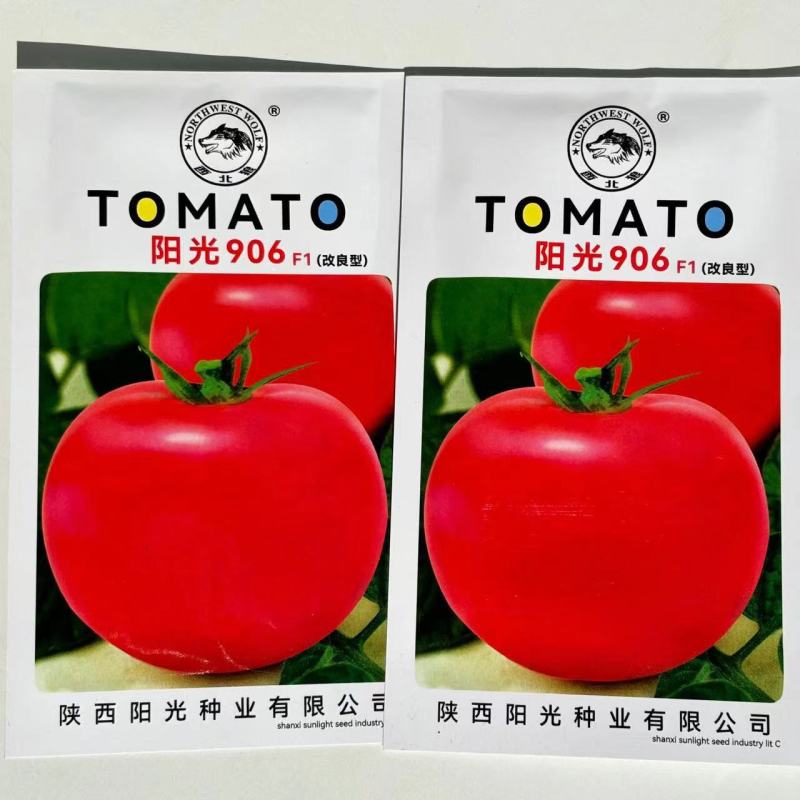阳光906早熟西红柿种子有限型番茄种籽杂交高产抗病4克原