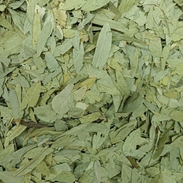 潘泻叶，做药材我们只做正品，质量和售后我们来做