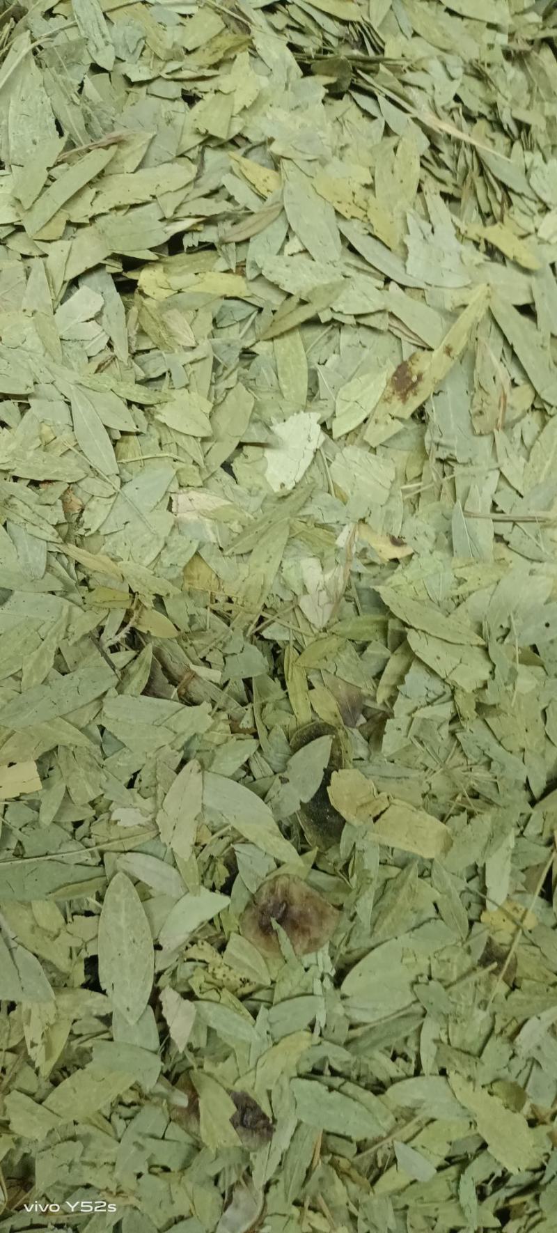 潘泻叶，做药材我们只做正品，质量和售后我们来做