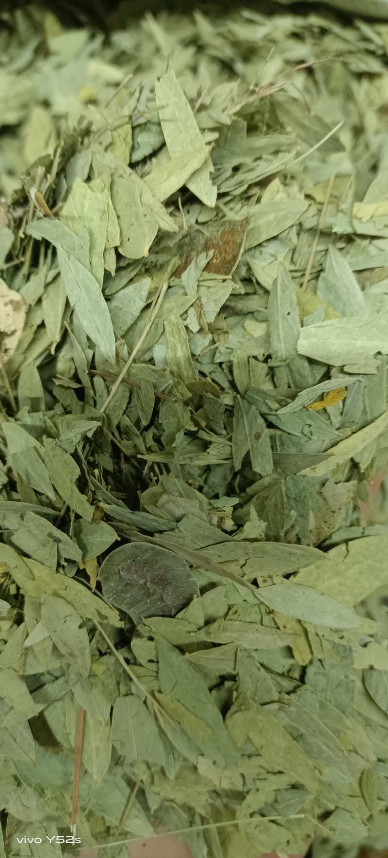潘泻叶，做药材我们只做正品，质量和售后我们来做