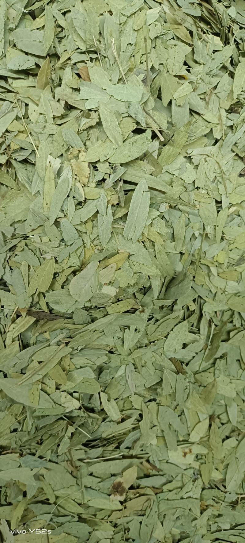 潘泻叶，做药材我们只做正品，质量和售后我们来做