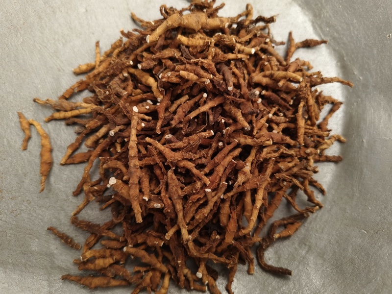 九节菖蒲水洗净货九节菖蒲无硫***大货批发零售正品