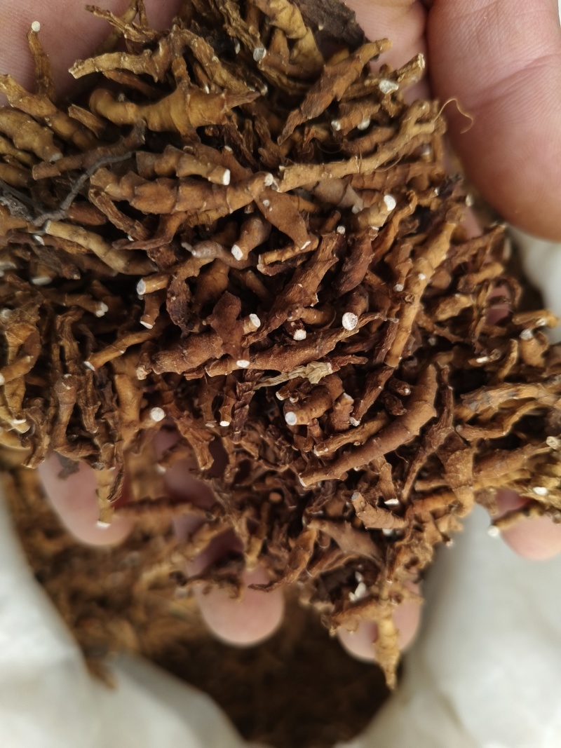 九节菖蒲水洗净货九节菖蒲无硫***大货批发零售正品