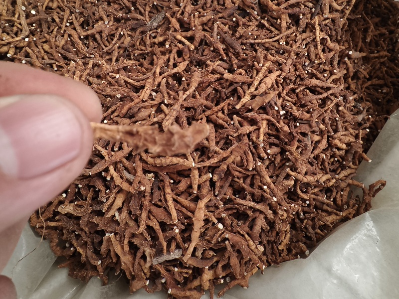 九节菖蒲水洗净货九节菖蒲无硫***大货批发零售正品