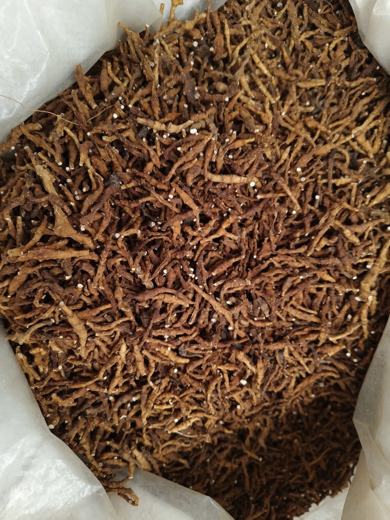 九节菖蒲水洗净货九节菖蒲无硫***大货批发零售正品