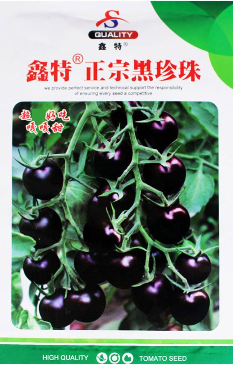 正宗黑珍珠番茄种子樱桃番茄圣女果籽小西红柿黑柿子种子