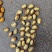 云南大颗粒电商货，纯新货，货源充足，厂家直销