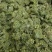 三七花，各种规格诚信经营，
