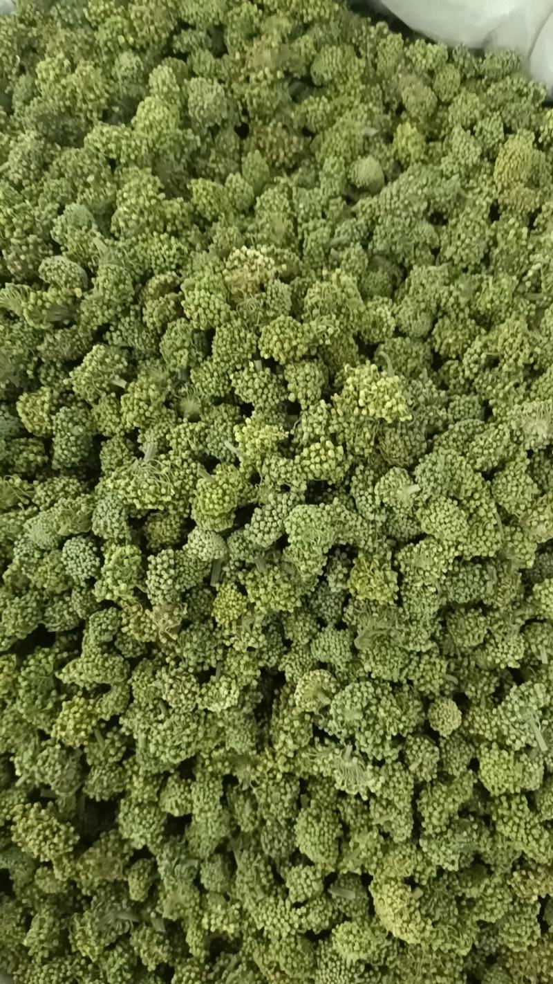 三七花，各种规格诚信经营，