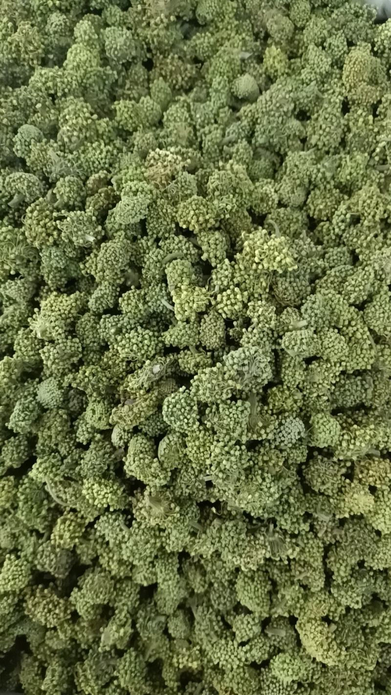 三七花，各种规格诚信经营，