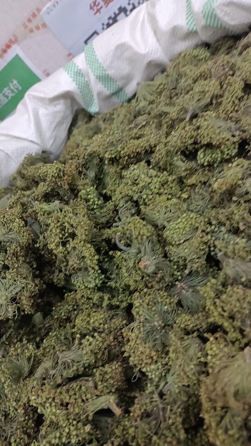 三七花，各种规格诚信经营，