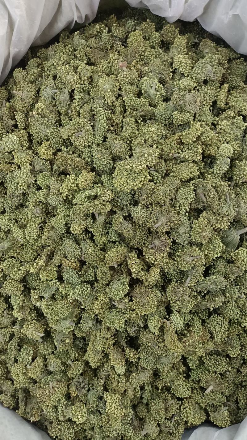 三七花，各种规格诚信经营，