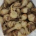 大白皮茨菇