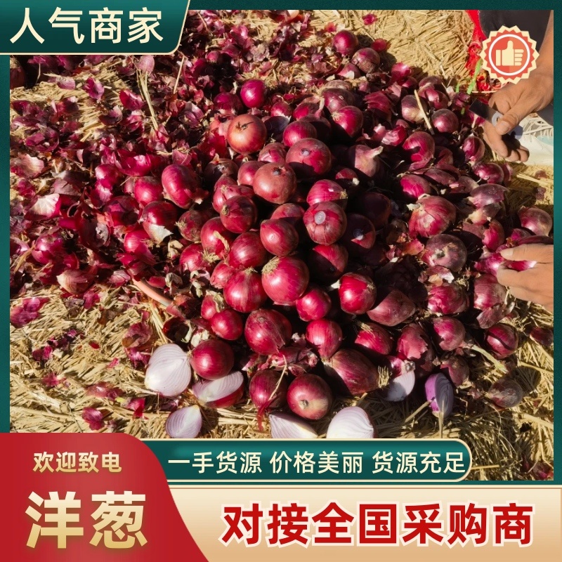 红皮洋葱服务周到产地直供一手货源品质保证