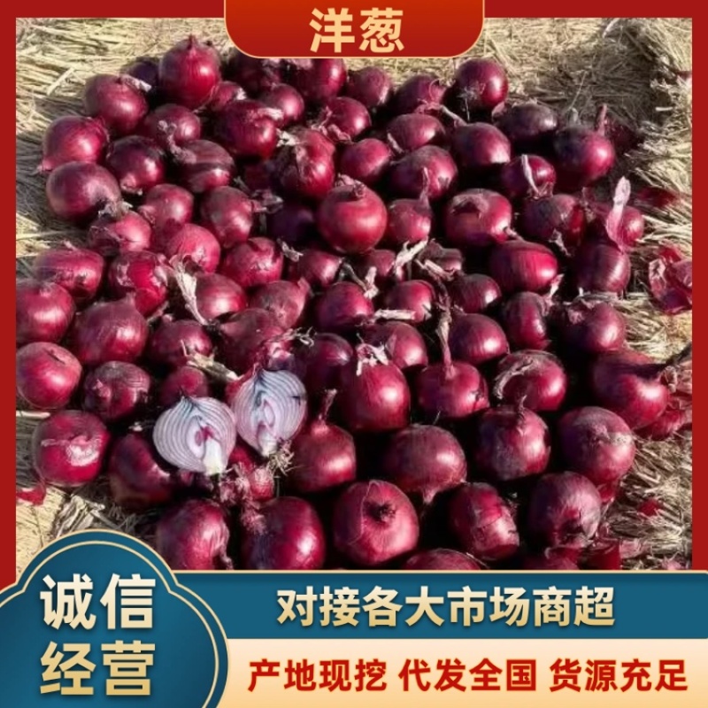 红皮洋葱服务周到产地直供一手货源品质保证